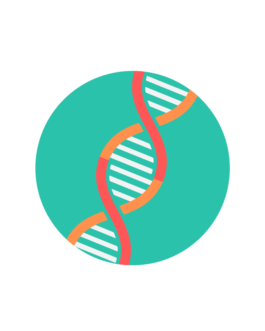 ITS 定序_Miseq_PE300