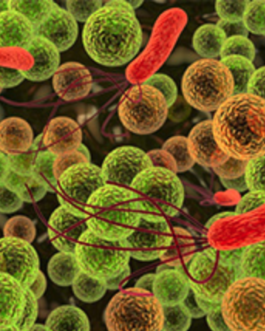 Long Read 16S Microbial Sequencing